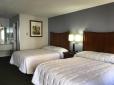 University Inn image 3